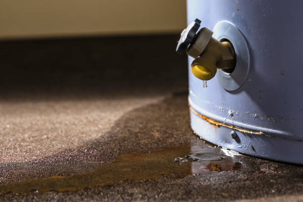 Best Water damage mitigation services  in USA